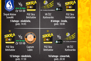 Znamy terminy kolejnych meczów PGE Skry Bełchatów